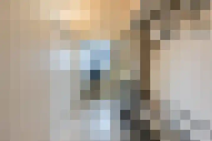 Sieberg 303 Uden thumbnail 39