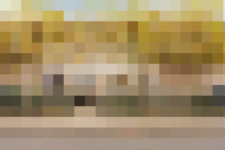 Sieberg 303 Uden thumbnail 4