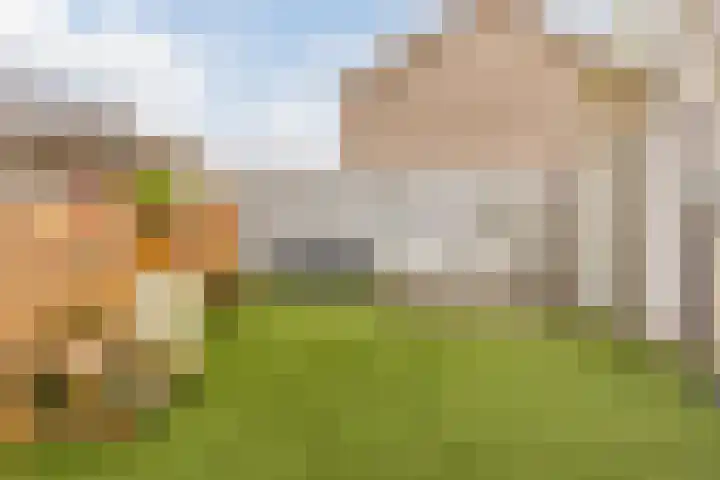 Sieberg 303 Uden thumbnail 41