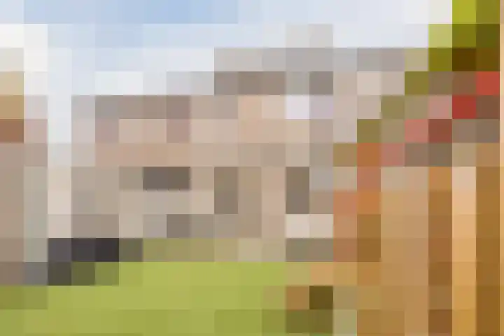 Sieberg 303 Uden thumbnail 43