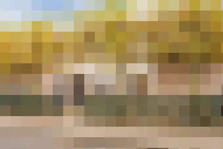 Sieberg 303 Uden thumbnail 5