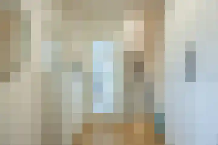Sieberg 303 Uden thumbnail 7