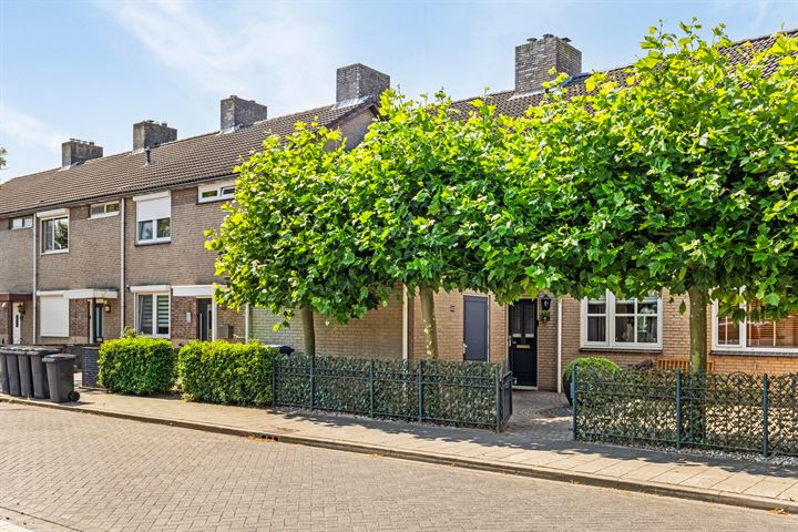 Sieberg 305 dans Uden photo