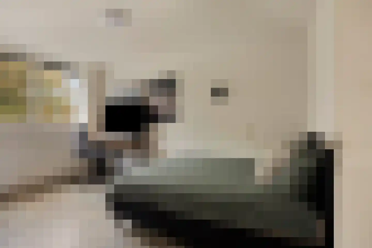 Sieberg 319 Uden thumbnail 32