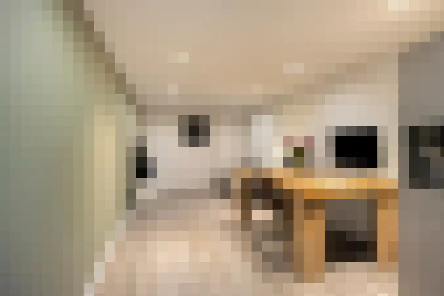Sieberg 319 Uden thumbnail 44