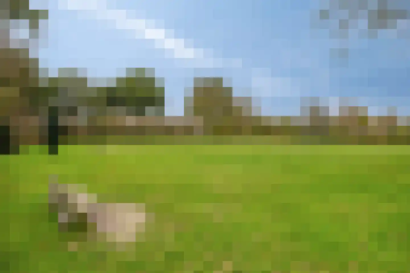 Sieberg 319 Uden thumbnail 49