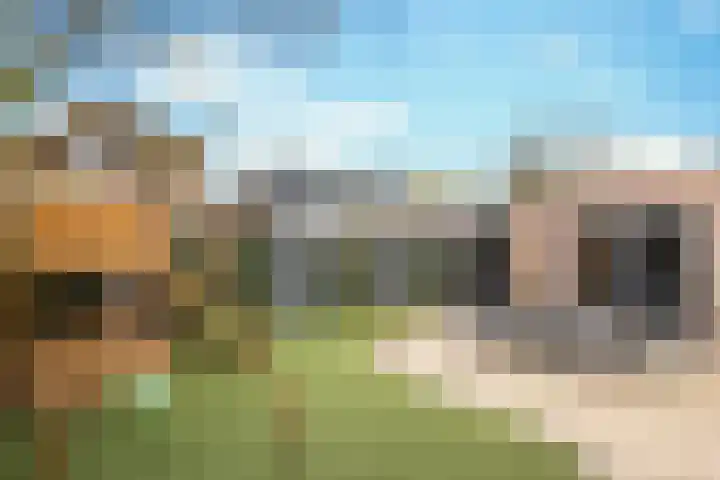 Sieberg 910 Uden thumbnail 10