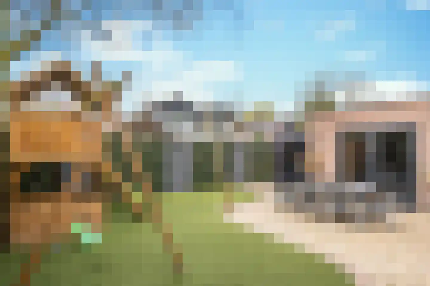 Sieberg 910 Uden thumbnail 10