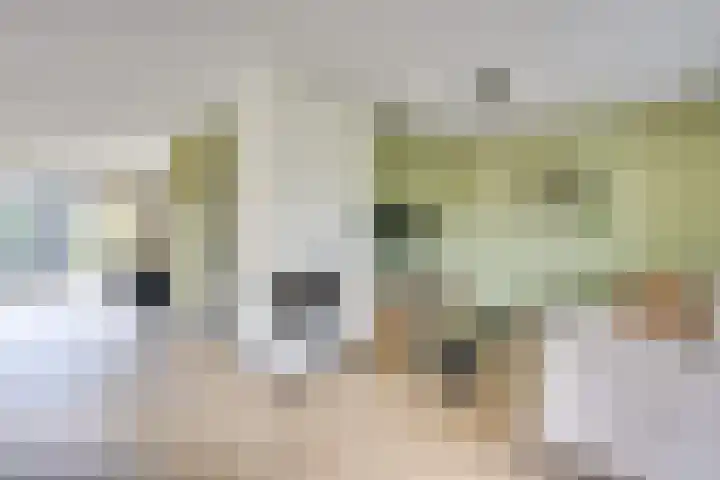 Sieberg 910 Uden thumbnail 13