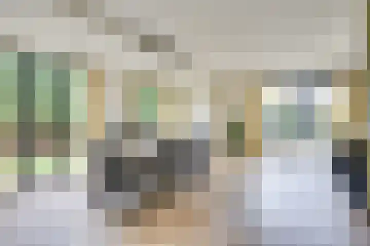 Sieberg 910 Uden thumbnail 15