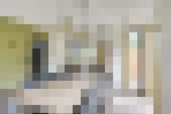 Sieberg 910 Uden thumbnail 17