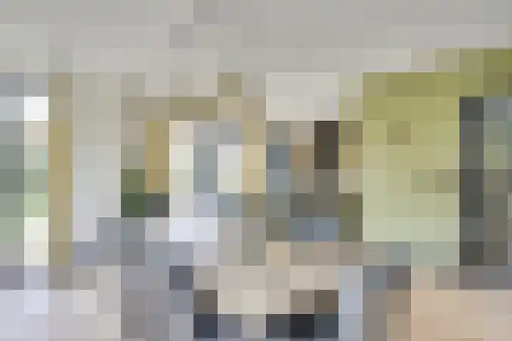 Sieberg 910 Uden thumbnail 18