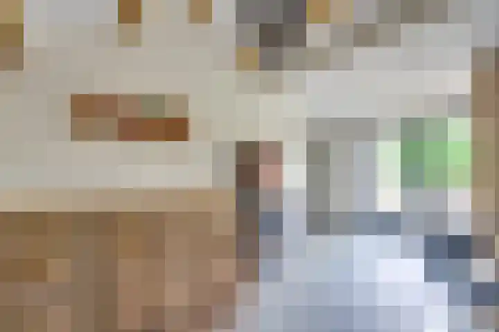 Sieberg 910 Uden thumbnail 20