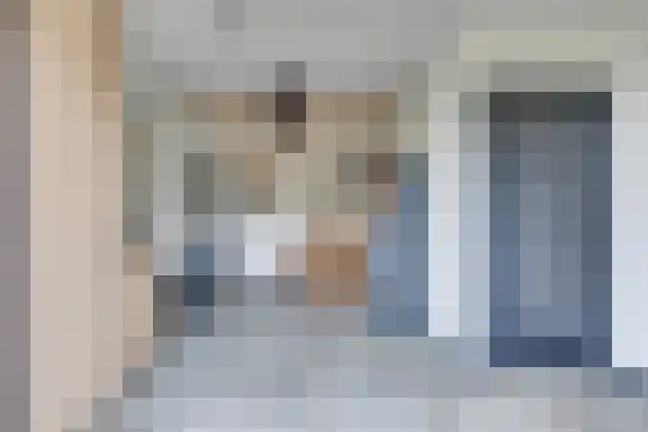 Sieberg 910 Uden thumbnail 21