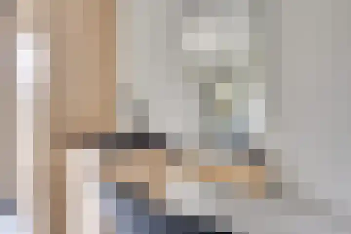 Sieberg 910 Uden thumbnail 23