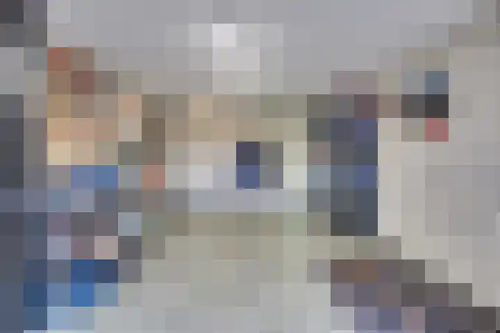 Sieberg 910 Uden thumbnail 26