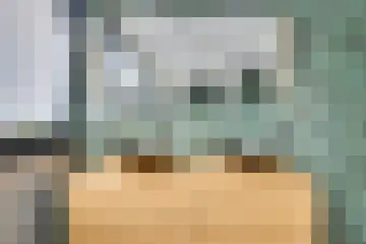 Sieberg 910 Uden thumbnail 31