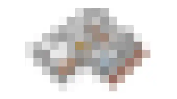 Sieberg 910 Uden thumbnail 43