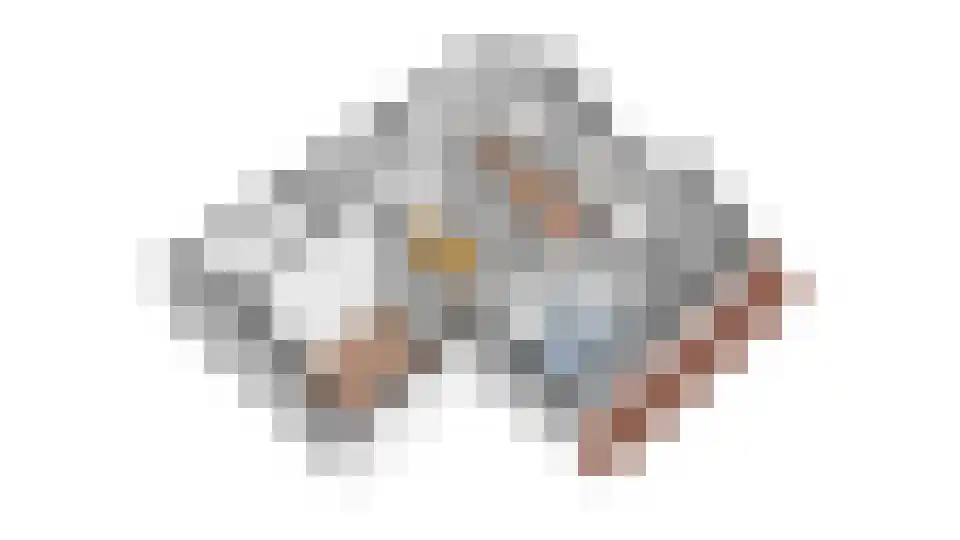 Sieberg 910 Uden thumbnail 43