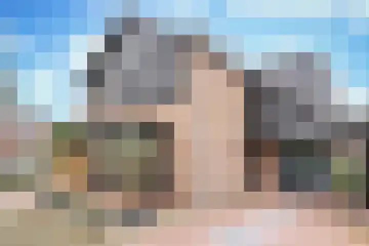 Sieberg 910 Uden thumbnail 6