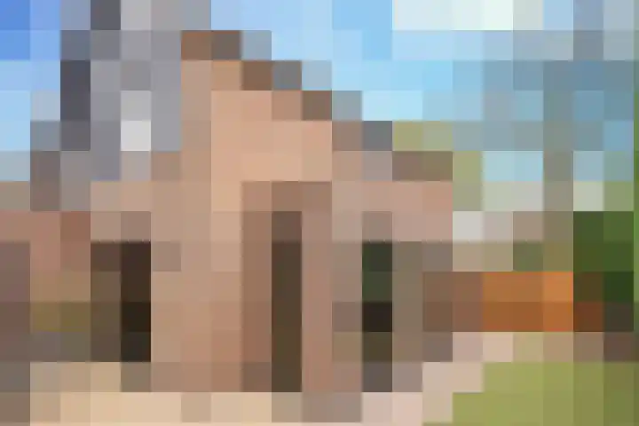 Sieberg 910 Uden thumbnail 8