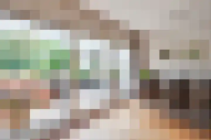 Sieberg 914 Uden thumbnail 12