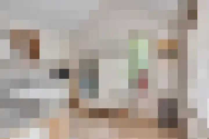 Sieberg 914 Uden thumbnail 13