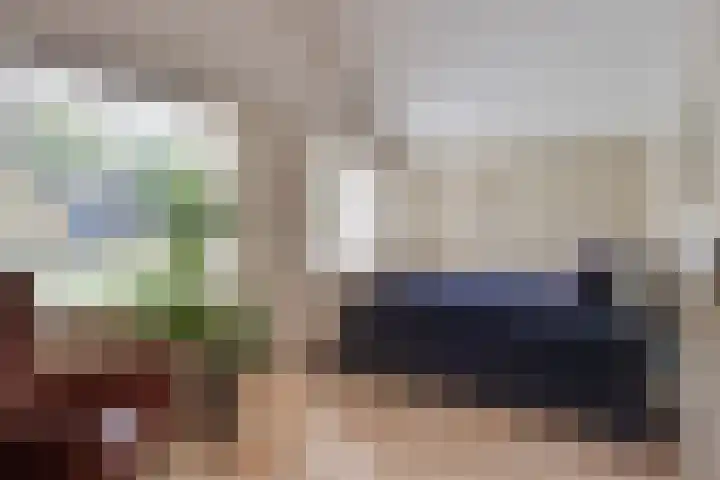 Sieberg 914 Uden thumbnail 17