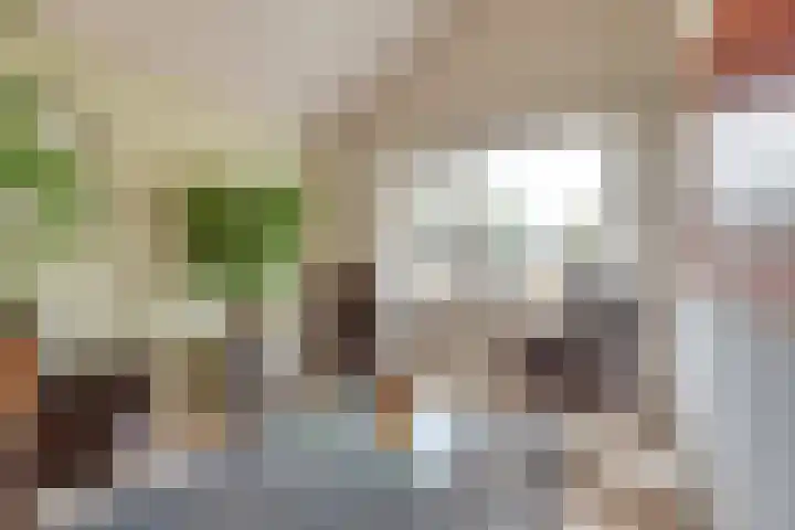 Sieberg 914 Uden thumbnail 19