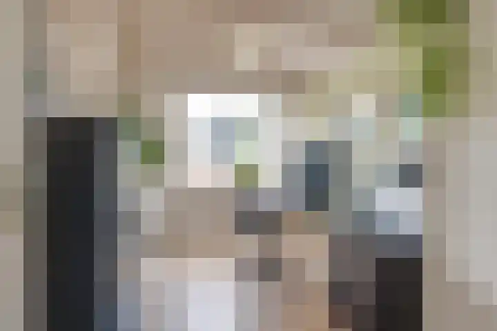 Sieberg 914 Uden thumbnail 20