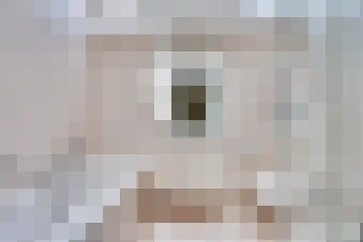 Sieberg 914 Uden thumbnail 21