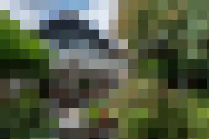 Sieberg 914 Uden thumbnail 23