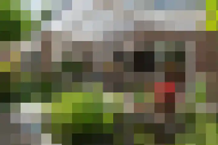 Sieberg 914 Uden thumbnail 24