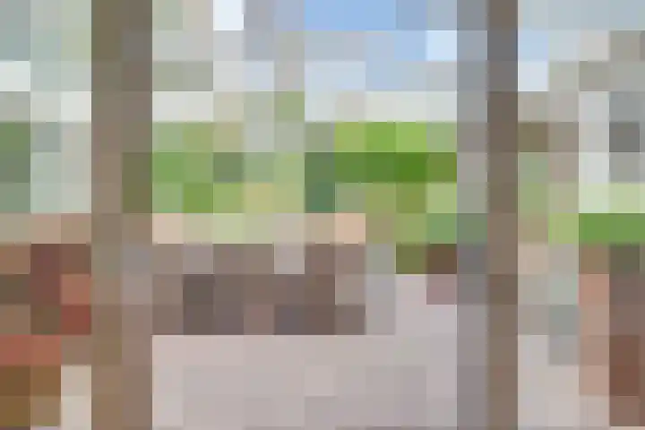 Sieberg 914 Uden thumbnail 25