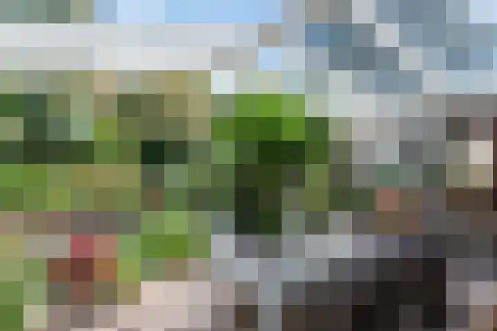 Sieberg 914 Uden thumbnail 26