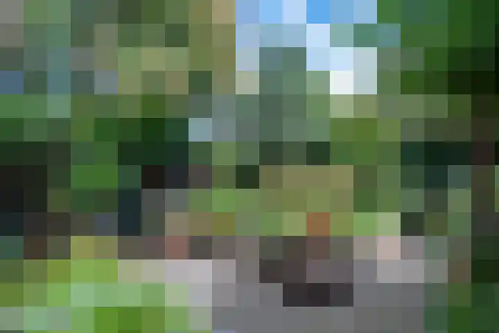 Sieberg 914 Uden thumbnail 28