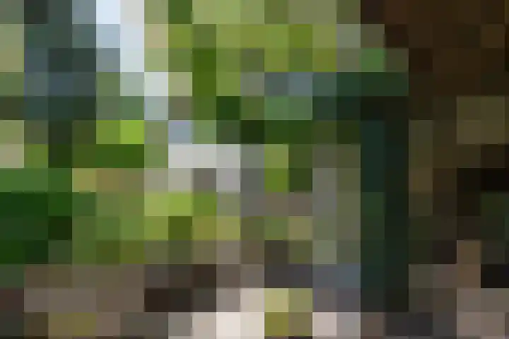 Sieberg 914 Uden thumbnail 29