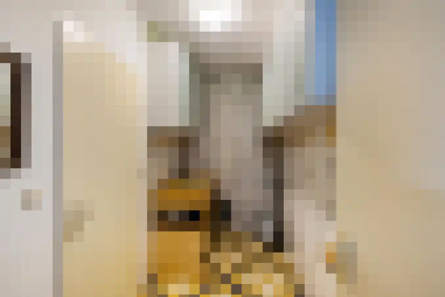 Siebold Sissinghlaan 15 Groningen thumbnail 25
