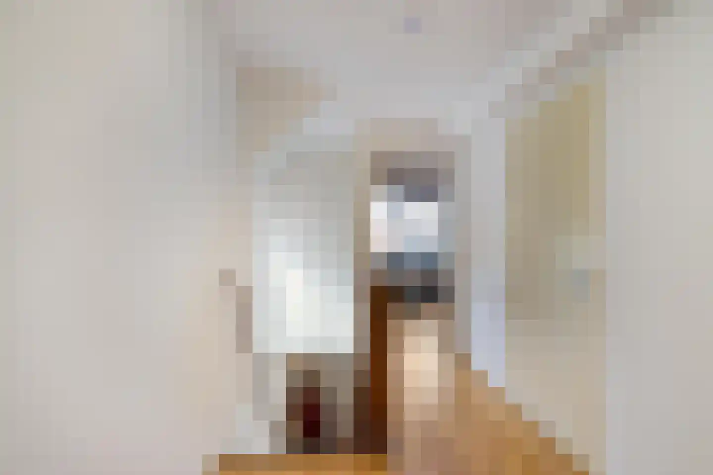 Siebold Sissinghlaan 15 Groningen thumbnail 28