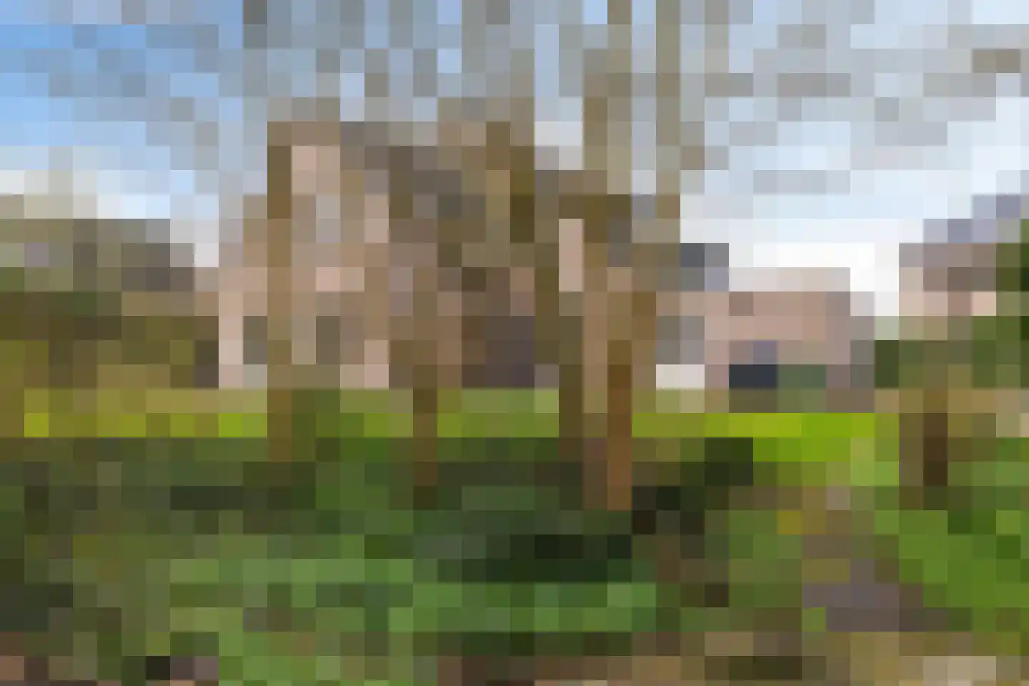 Siebold Sissinghlaan 15 Groningen foto 3