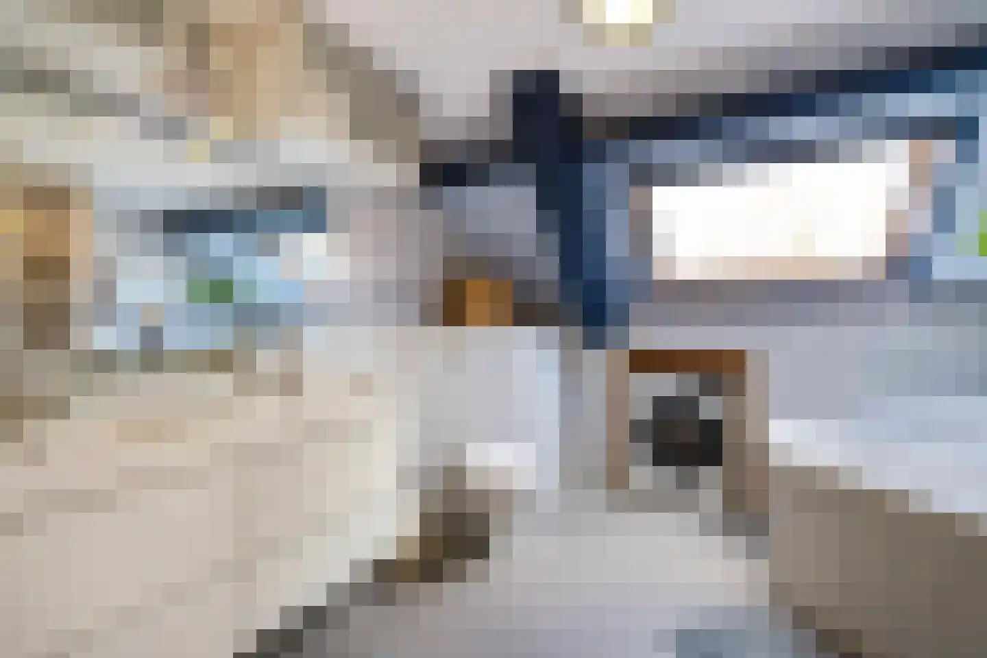 Siebold Sissinghlaan 15 Groningen thumbnail 33