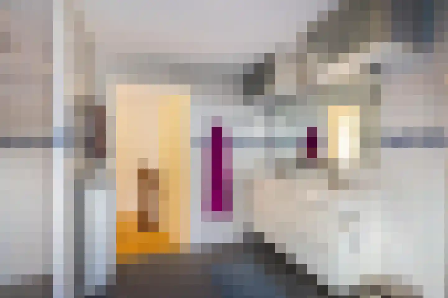 Siebold Sissinghlaan 15 Groningen thumbnail 34