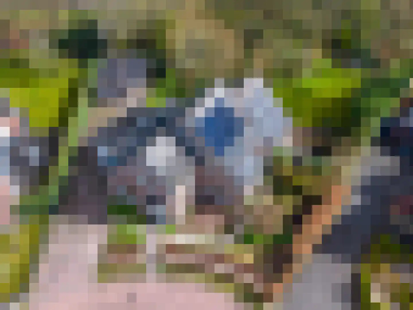 Siebold Sissinghlaan 15 Groningen thumbnail 4