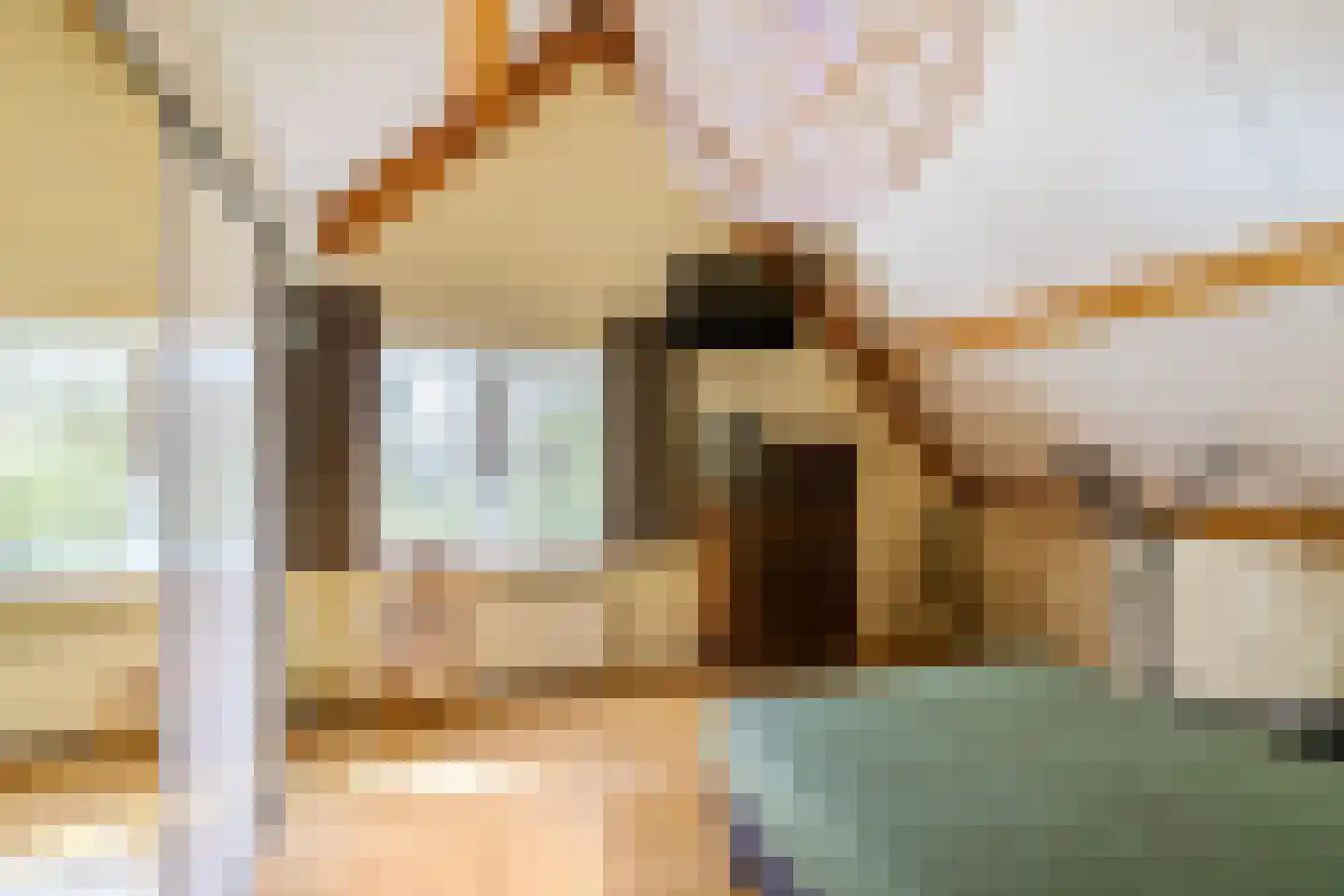Siebold Sissinghlaan 15 Groningen thumbnail 41