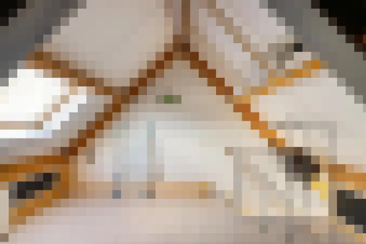 Siebold Sissinghlaan 15 Groningen thumbnail 45