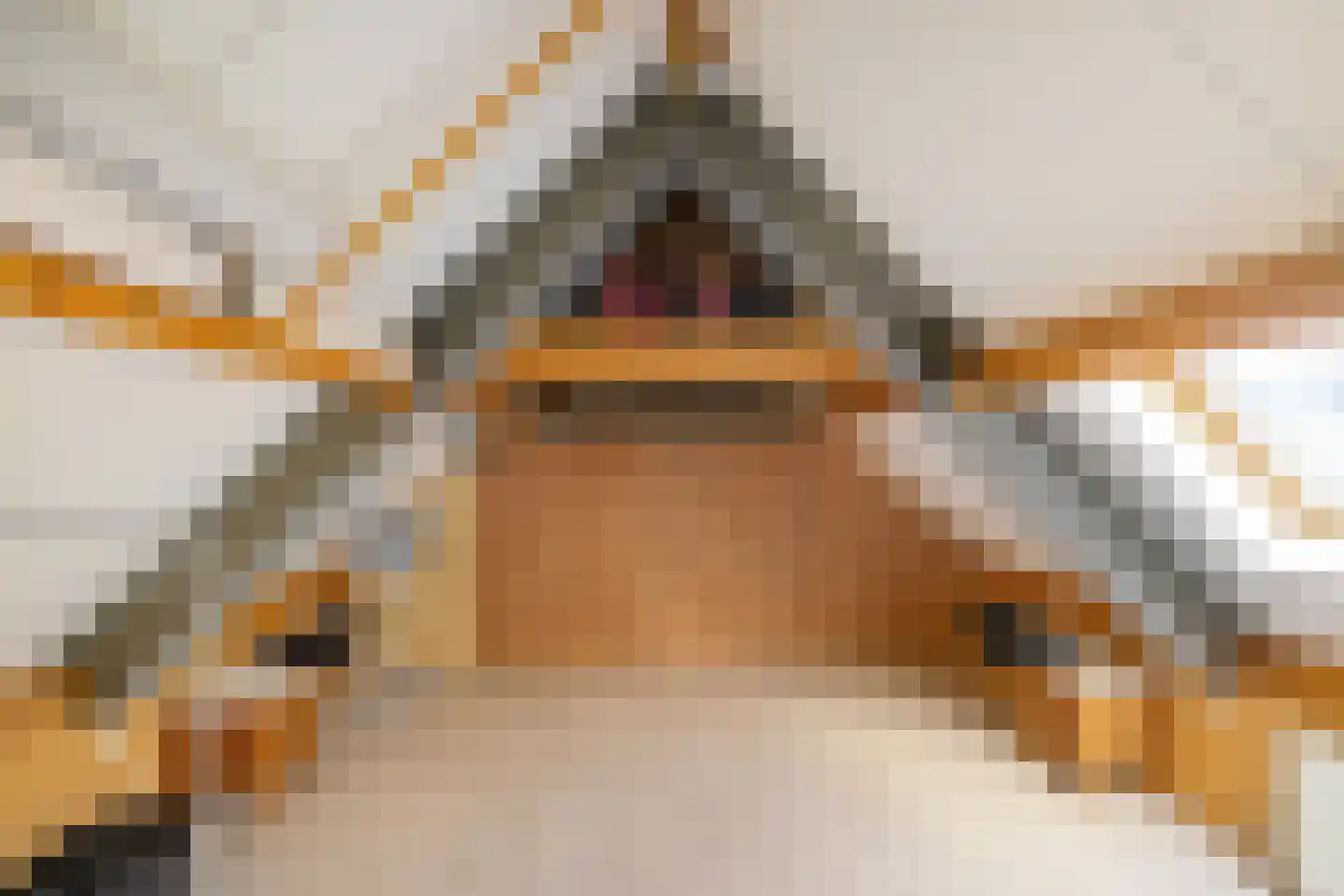 Siebold Sissinghlaan 15 Groningen thumbnail 46