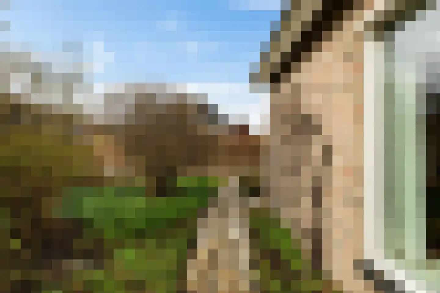Siebold Sissinghlaan 15 Groningen thumbnail 49