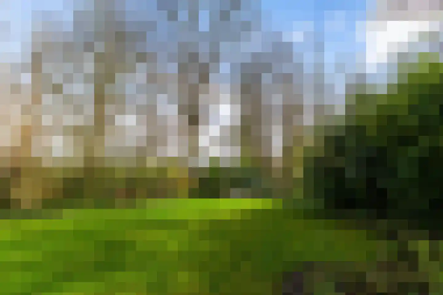 Siebold Sissinghlaan 15 Groningen thumbnail 50
