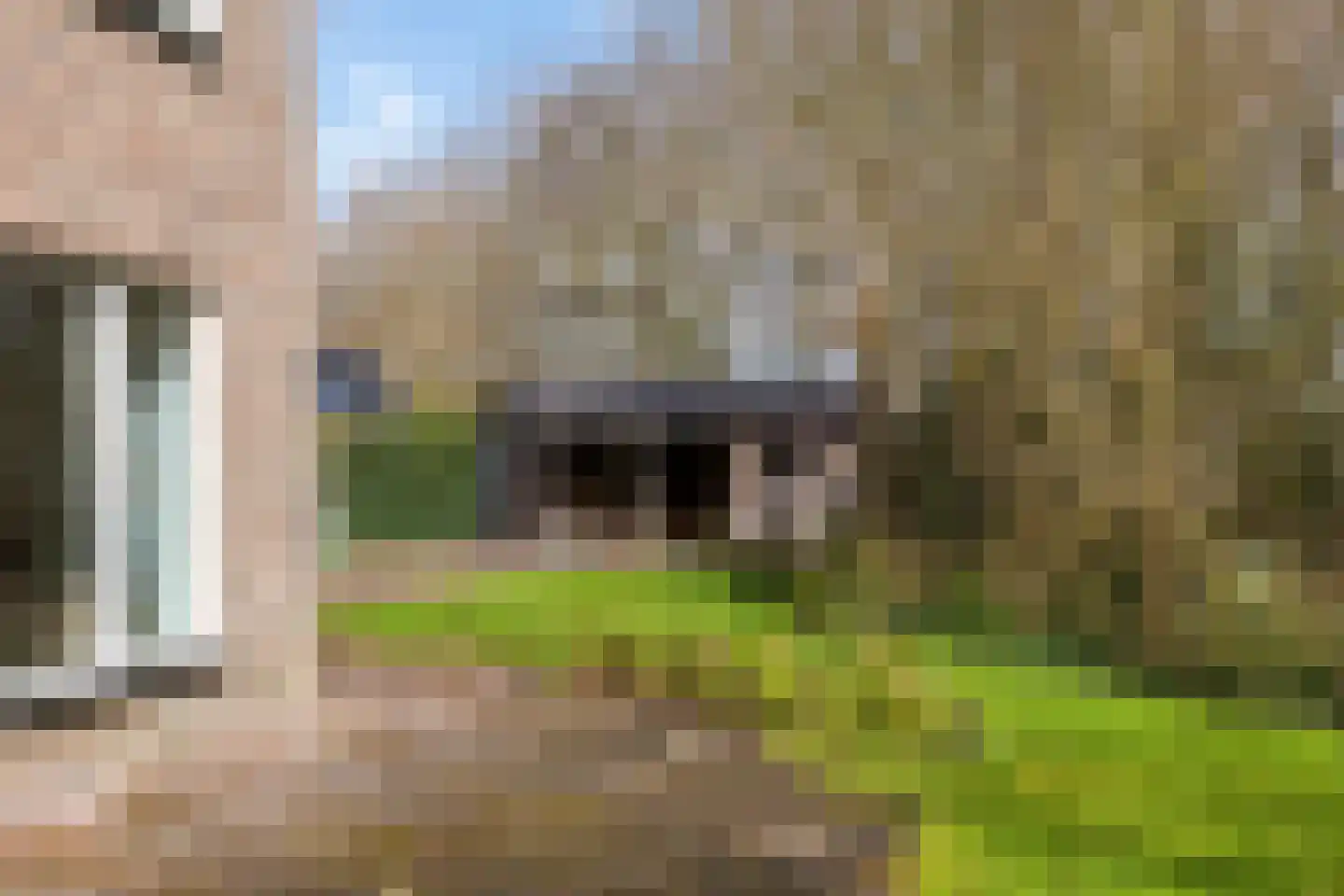 Siebold Sissinghlaan 15 Groningen thumbnail 51