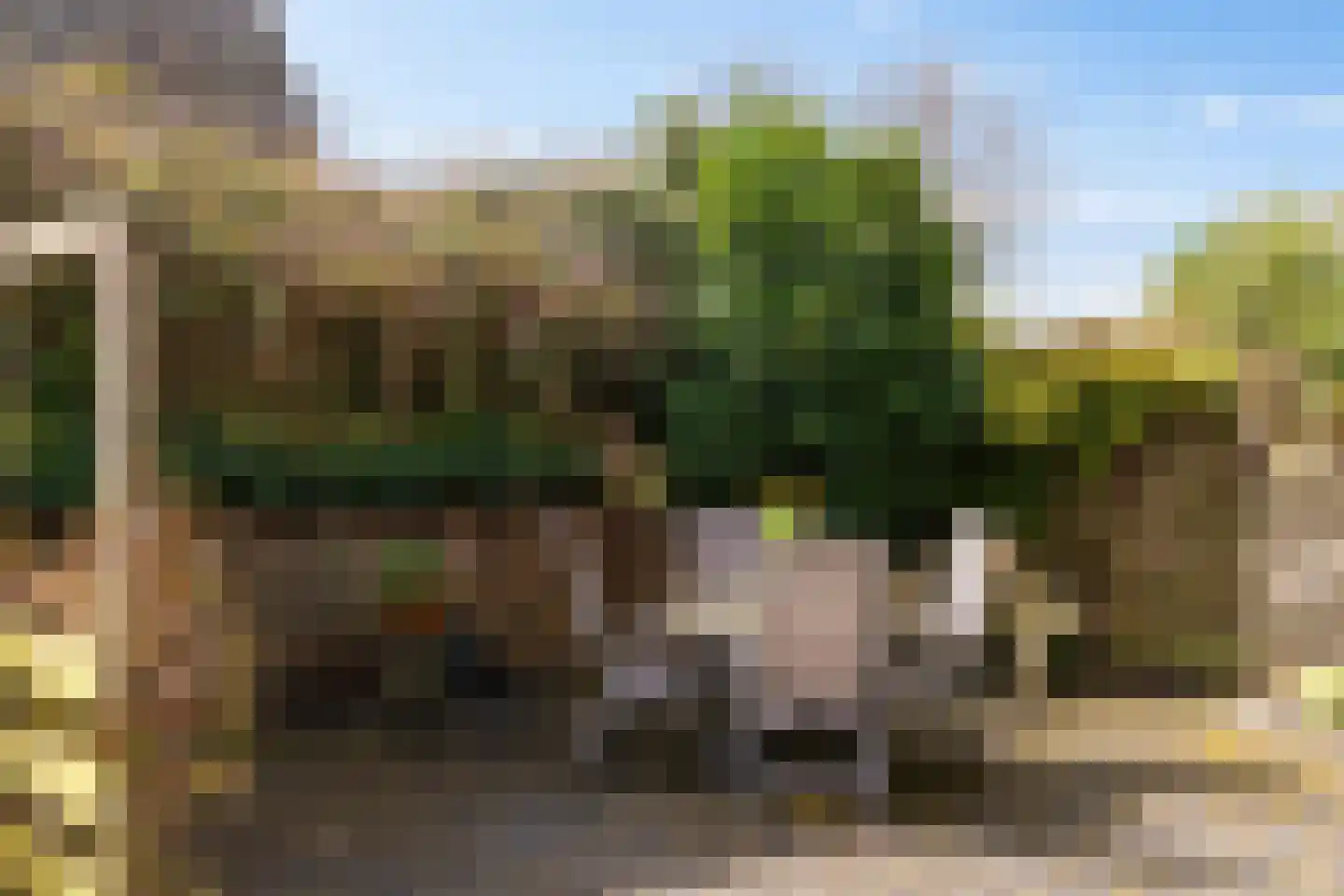 Siebold Sissinghlaan 15 Groningen thumbnail 54